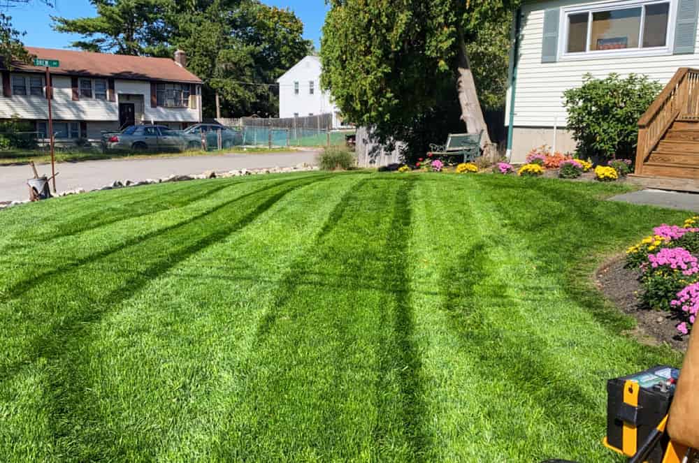 Lawn Care image