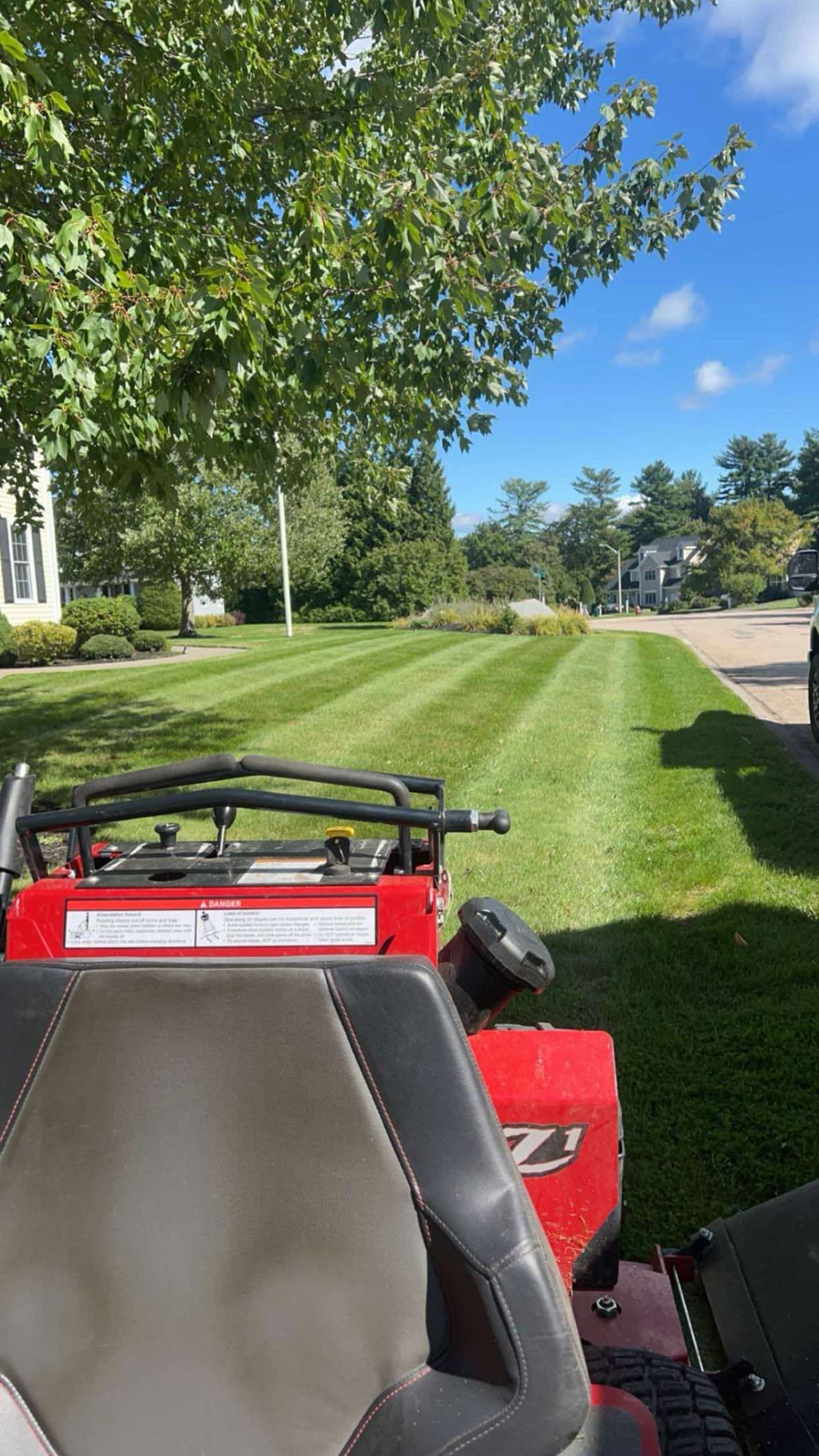 Project Why Consistent Mowing Makes Your Lawn Stronger image