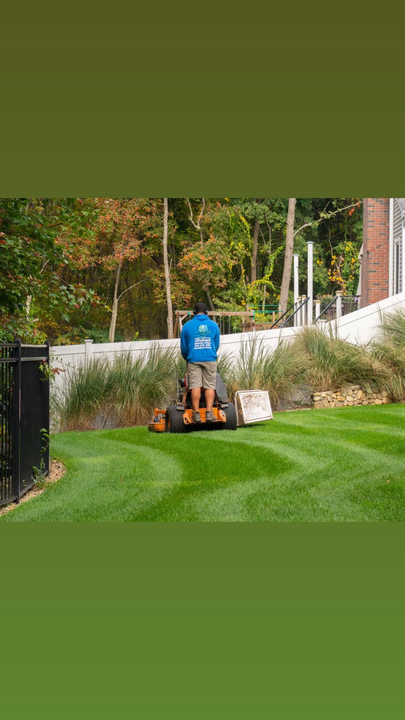 Fresh-Cut Grass and Blooming Gardens Make Your Yard Come Alive image