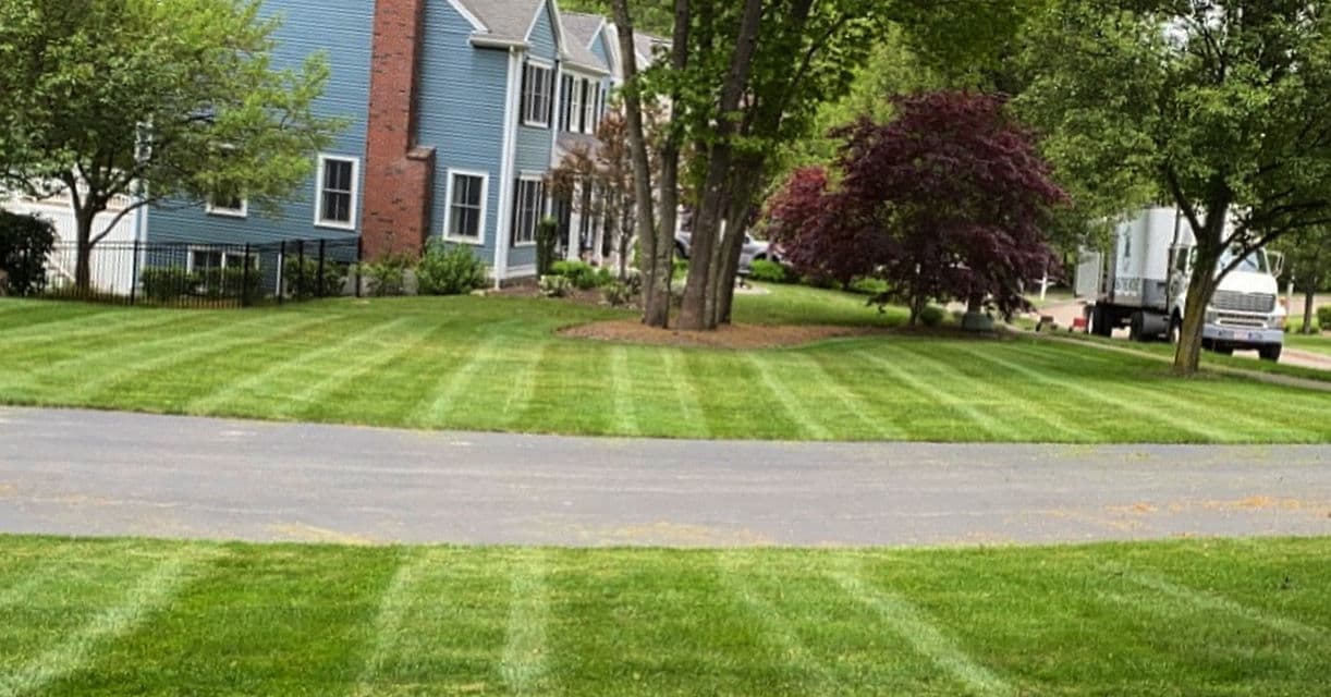 A Fresh Cut Lawn That Actually Looks the Part