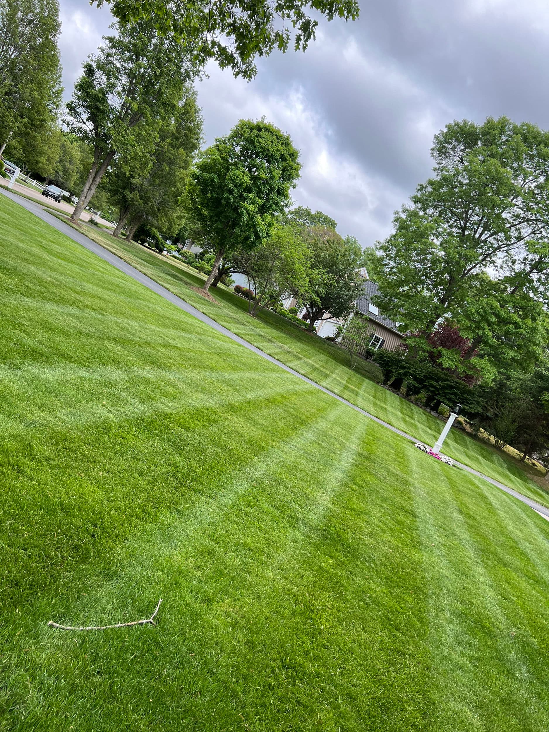 Clean Cuts and Sharp Stripes on a Sprawling Residential Lawn image