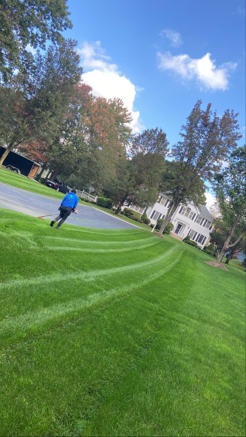 Gallery photos for Fresh-Cut Grass and Blooming Gardens Make Your Yard Come Alive: Image #1