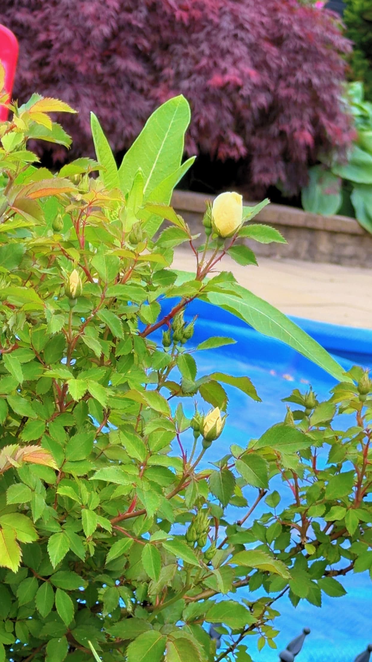 Spring Landscapes Are Coming to Life Right Now image